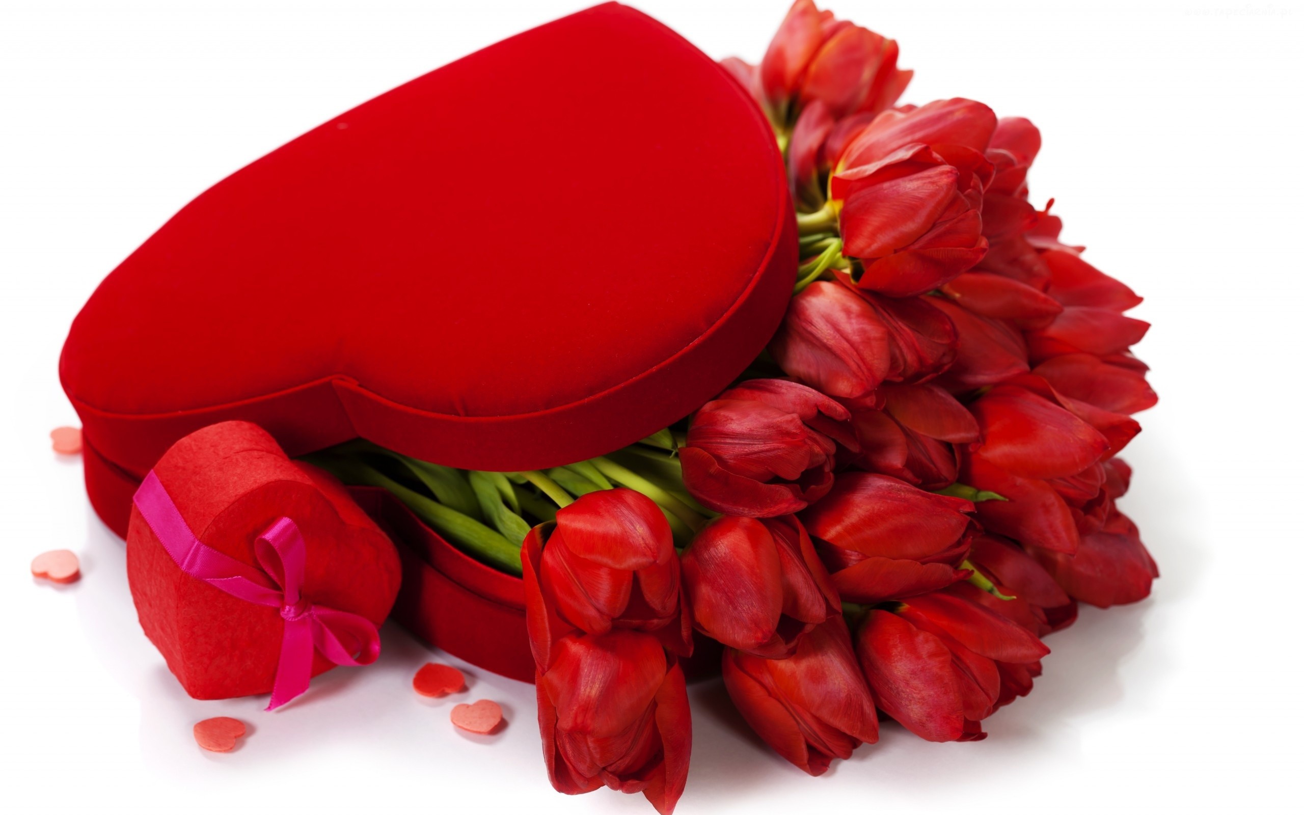 Czerwone tulipany w czerwonym pudełku